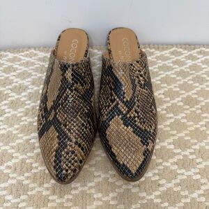 Coconuts by Matisse | Faux Snakeskin Mule Brown Black Size 6.5